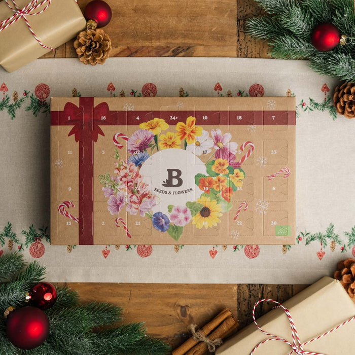 Blomster-julekalender med 24 poser økologiske blomsterfrø og fiberpotter – perfekt gave til blomsterelskere