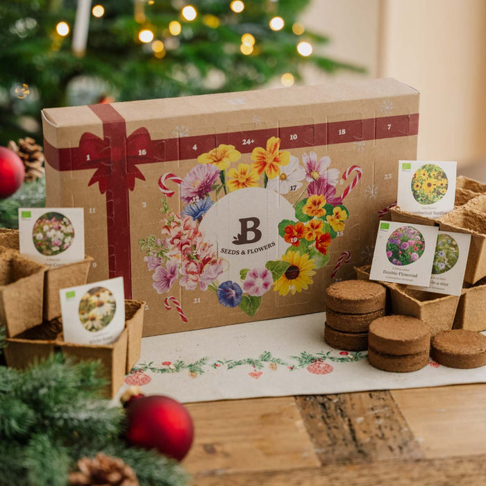 Smuk julekalender fyldt med blomsterfrø, klar til at skabe farverige blomster i haven året efter
