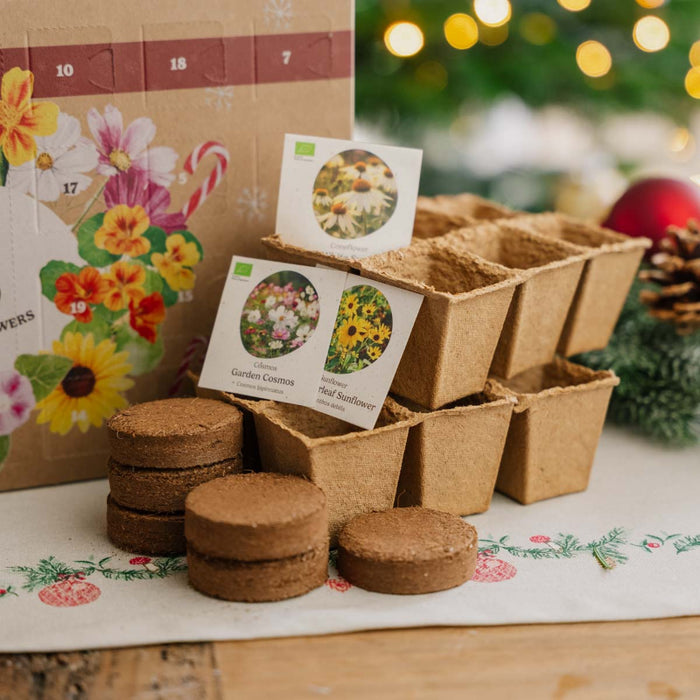 Bæredygtig blomster-julekalender med 24 små poser frø, der spirer til smukke blomster