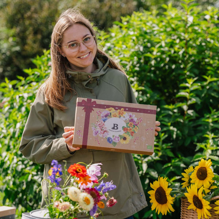 Julekalender med økologiske blomsterfrø – den ideelle julegave til haveentusiaster