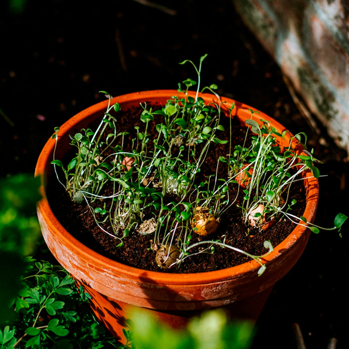 Lille gavekurv med vin, mor keramikflag, blossombs og lakrids til verdens bedste mor