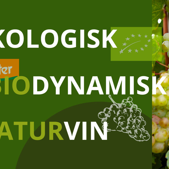 Økologisk vin, biodynamisk vin og naturvin - lær mere om forskellene og lighederne mellem de forskellige typer af vin