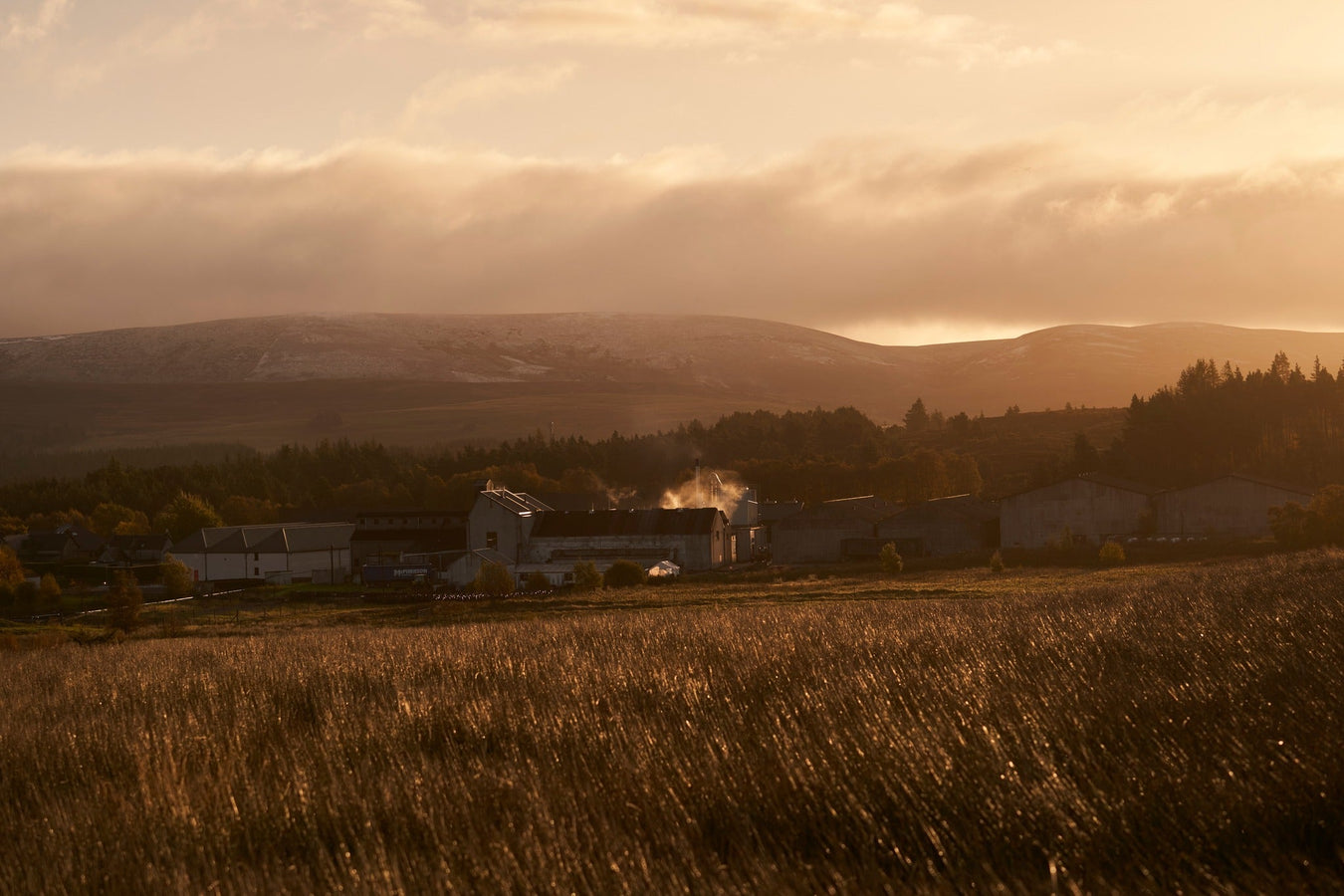 Tomatin Whisky
