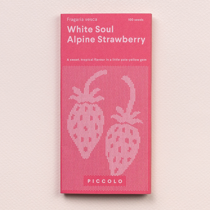 Frøpose med White Soul hvide alpine jordbærfrø fra Piccolo Seeds – naturlig mutation med tropisk smag af guava og ananas