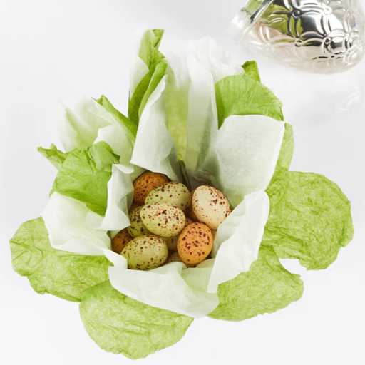 Sølvæg fra Summerbird