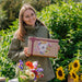 Julekalender med økologiske blomsterfrø – den ideelle julegave til haveentusiaster