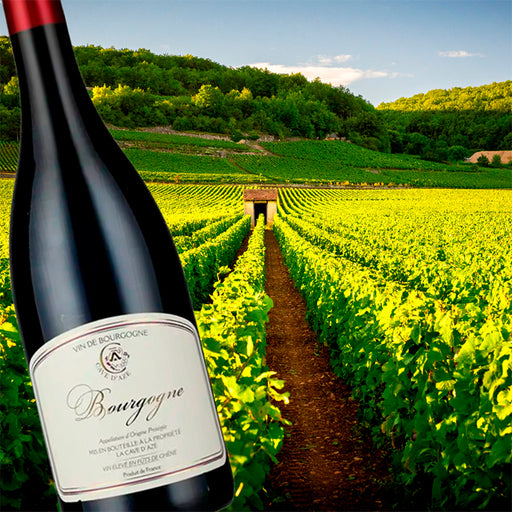 Bourgogne Pinot Noir, La Cave d'Azé