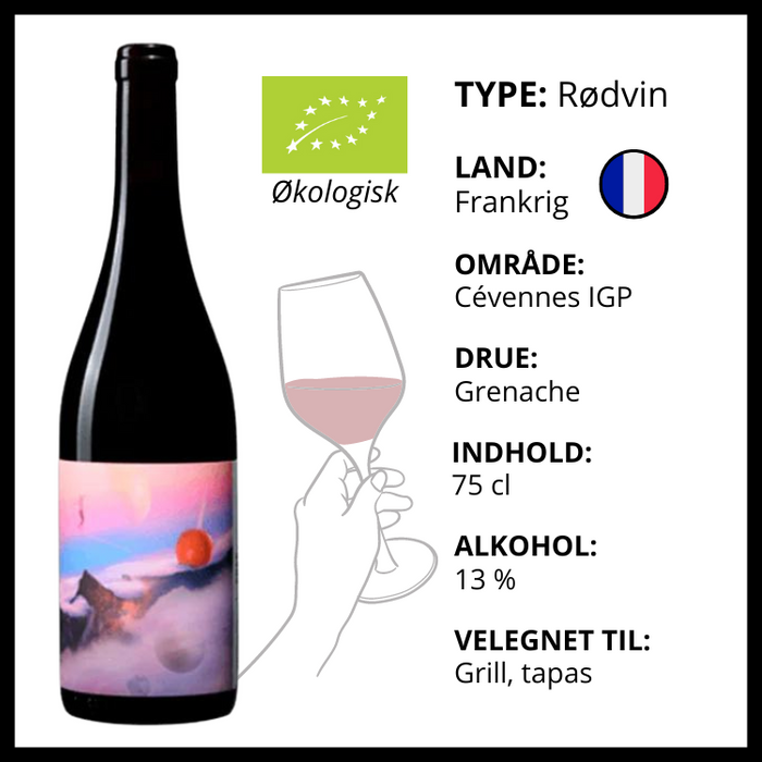 Rødvin, Domaine de Berguerolles - Free Style (Naturvin)