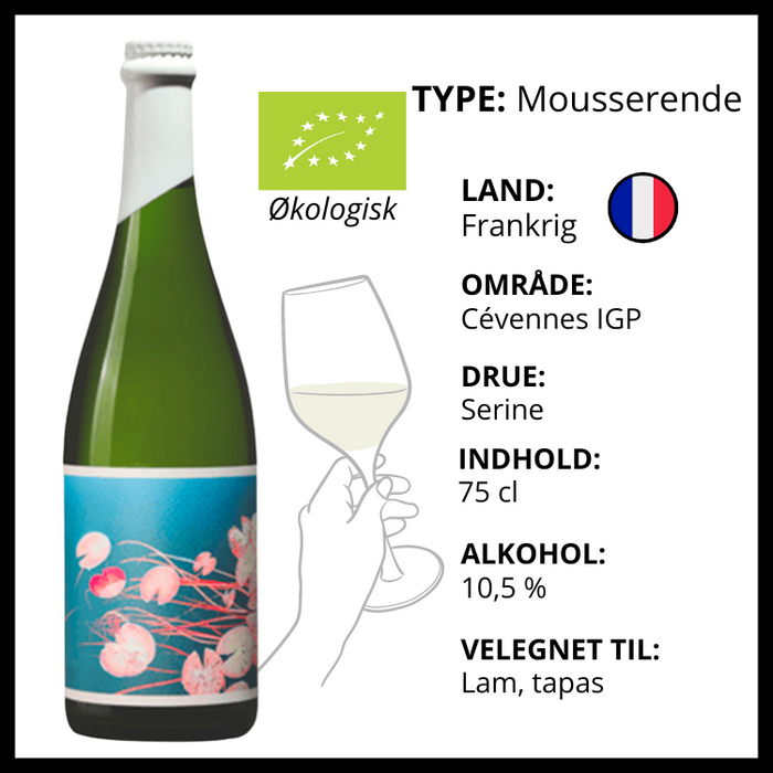 Mousserende, Domaine de Berguerolles - Pet Nat (Naturvin)