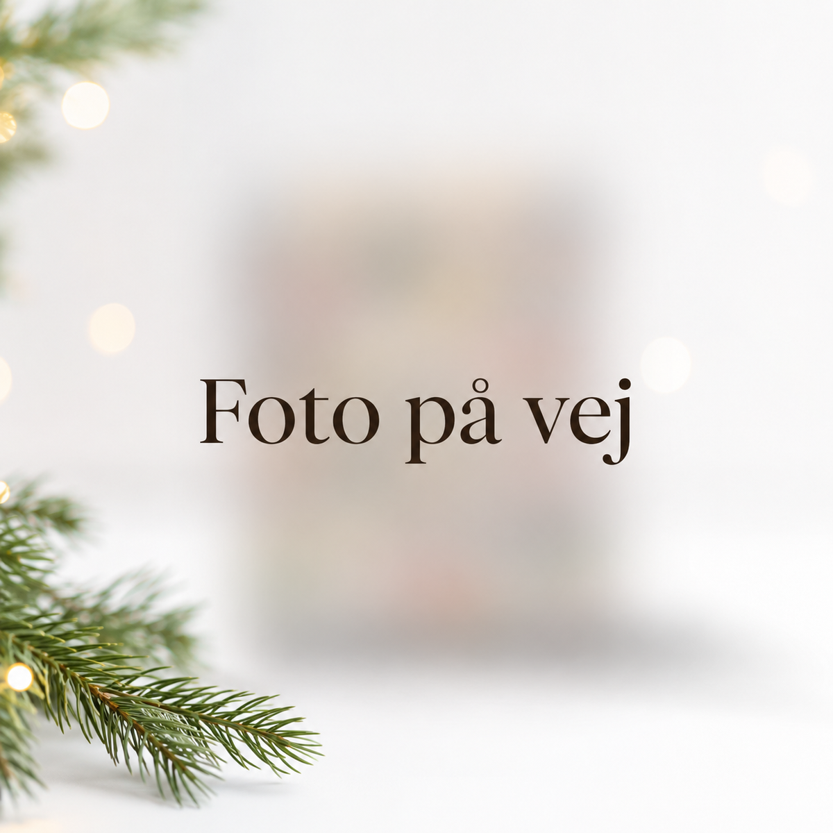Billedet af denne julekalender er lige på trapperne. Besøg vores side igen om et par dage.