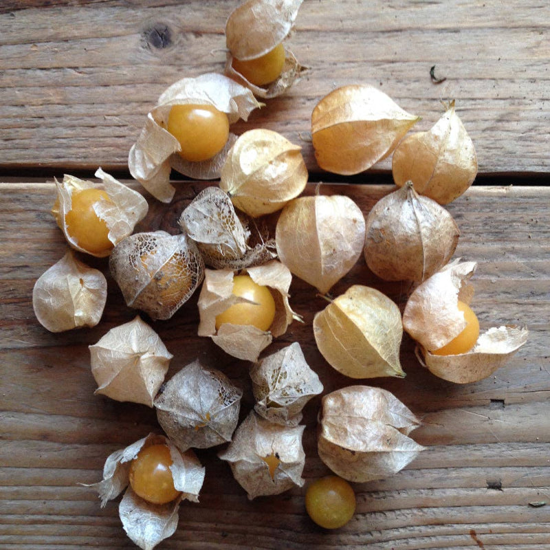 Frøpose med Cape Gooseberry ananaskirsebærfrø fra Piccolo Seeds – nem at dyrke i potter, sød og syrlig smag