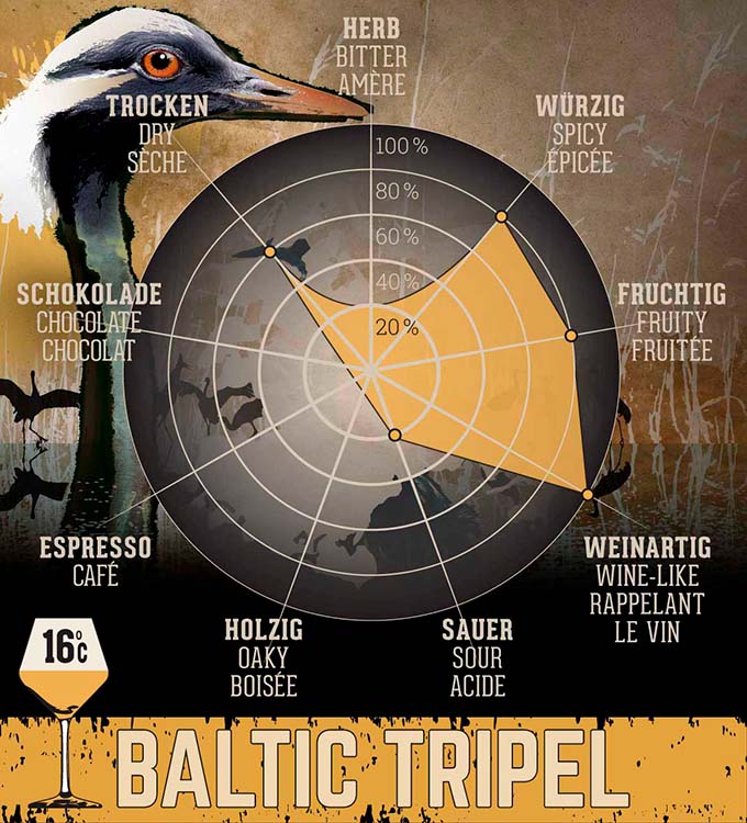 Denne Baltic tripel er en stærk øl med en skønne aromaer. Den passer perfekt til et ostebord, eller ganske enkelt som en fornøjelses øl.